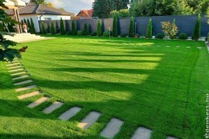 Mitől lesz a gyep a szárazsággal, kánikulával szemben ellenálló? Elmondja a szakember