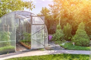 4 tipp az üvegház karbantartásához: érdemes már nyáron elkezdeni
