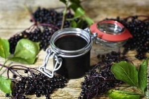A legfinomabb bodzabogyószörp recept házilag