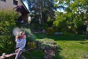 A virágkötő kertje