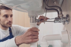 A fák szeretik az anyaföldet és a vízvezetékeket?