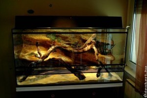 Terrarisztika - hogyan kezdjünk bele?