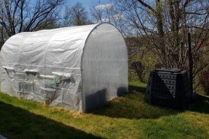 Termesztés műanyag alagútban – előnyök és hátrányok