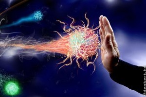 Számos betegségnél az immunológia lehet a megoldás kulcsa