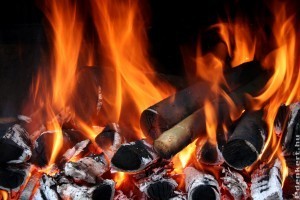 Tippek fatüzeléshez