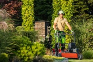 Füldugó fűnyíráshoz? Hallásunk meghálálja!