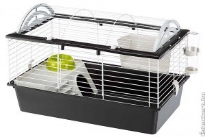 Milyen az ideális tengerimalac-ketrec?