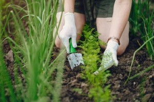 Top 3 tavaszi termék a webshopokon