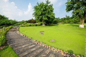 Hogyan újítsd meg otthonod tavasszal?