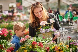 Gyakori hibák, amit muskátlivásárlásnál sokan elkövetnek