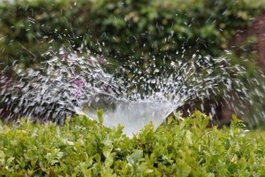 Hatékony és gazdaságos öntözés szórófejekkel