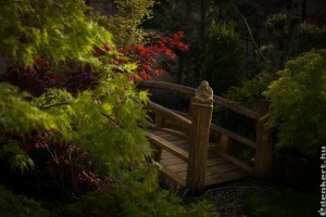 A béke szigete: egy meseszép erdei kert egy pici japán beütéssel