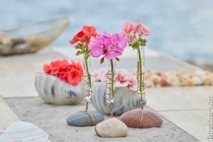 Így dekorálj muskátlival! 5 egyszerű és meseszép tipp