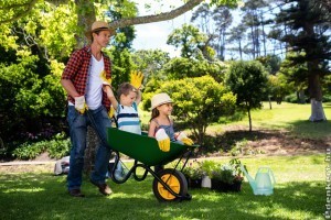 Három tipp a kertrendezéshez hőszivattyú telepítése után