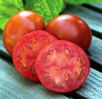 Krizantém: ha ezekre figyelsz, tele lesz virággal