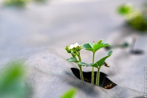 Geotextília: Környezettudatos Megoldás és Felhasználhatóság