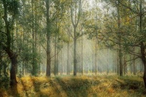 Élvezd a hegyvidéki békét és kényelmet!