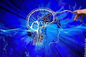 Rejtélyes és csodálatos: az emberi agy működésének alapjai