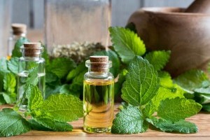 Hogyan készítsünk fürdőt citromfűből?