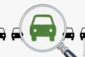 A Környezettudatos Vállalkozások Jellemzői