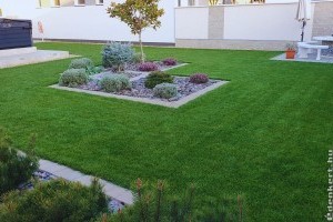 5+1 tudnivaló, ha el akarod kerülni a füvesítés buktatóit