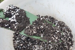 Így készíts palántaföldet egyszerűen házilag