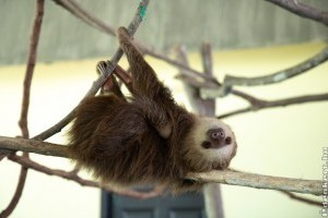 Cuki lajháros ajándékok