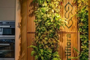 Beltéri és kültéri élő növényfal: Természetes megoldás modern terekbe, irodákba