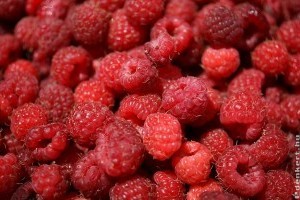 Hogyan terem rengeteget a málna?