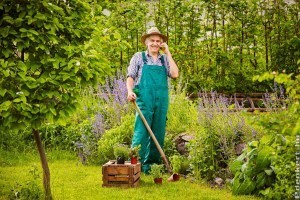 Tervezz és gondozz: mobiltelefonnal a kertben