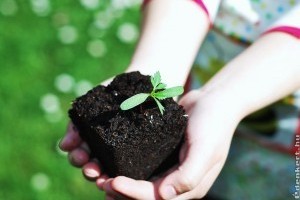 Geotextil fajták a kertbe