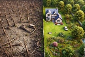 Egyre fokozódik a feszültség az emberek és a természet között