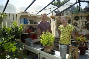 Fűszernövények, levendulák a Spektrum Home-on