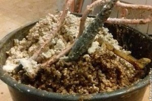 Amikor elromlik a villanybojler