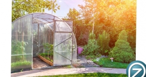 A fóliasátrak központi szerepe a mezőgazdaságban