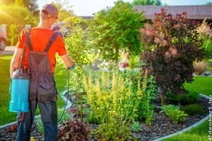 A lemosó permetezés fontossága