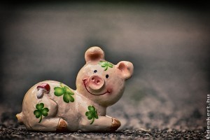 5 növény, ami szerencsét hoz nem csak szilveszterkor