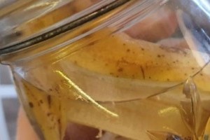 Tápoldat szobanövényeknek házilag: így készítsd el őket!