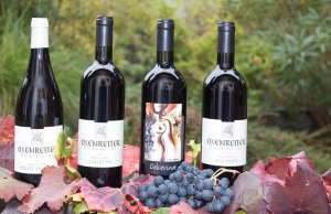 Miért fontos a megfelelő címkézés?