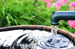 5 nyári kerti teendő, amit még júniusban érdemes elvégezni