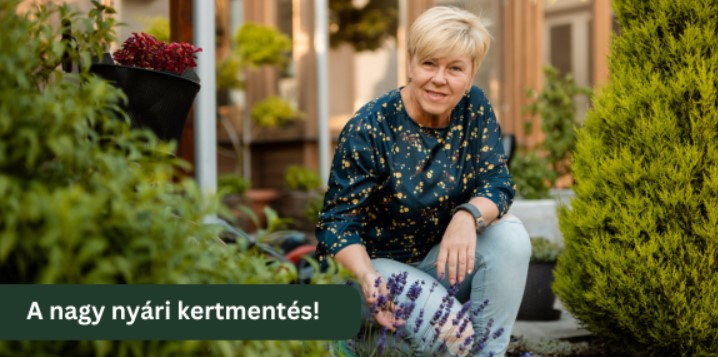 kertfüvesítés, kert, pázsit