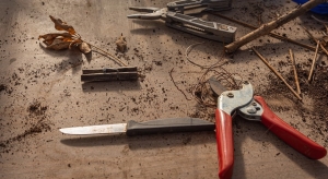 Milyen évelőket tilos szeptemberben visszametszeni?