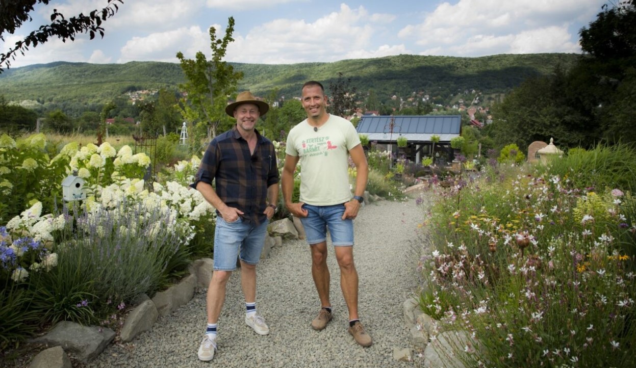 green team, kert, kertépítés