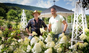 Akváriumok, évelők, gyerekpróba