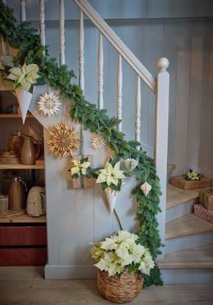 mikulásvirág, ötlet, dekor