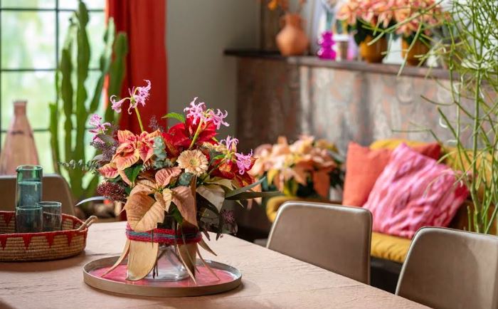 mikulásvirág, ötlet, dekor