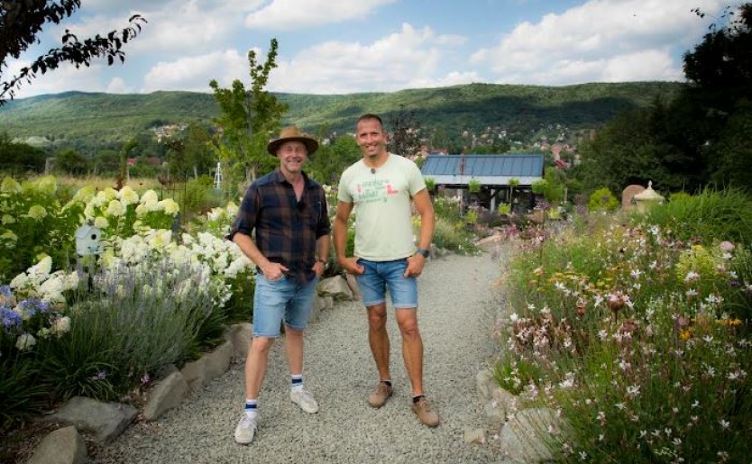 Permakultúra, ízorgia, gyógyfüvek