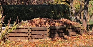 Hogyan komposztáljuk a leveleket egyszerűen – és hogyan gyorsíthatjuk fel a folyamatot?