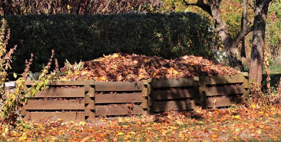 Hogyan komposztáljuk a leveleket egyszerűen – és hogyan gyorsíthatjuk fel a folyamatot?