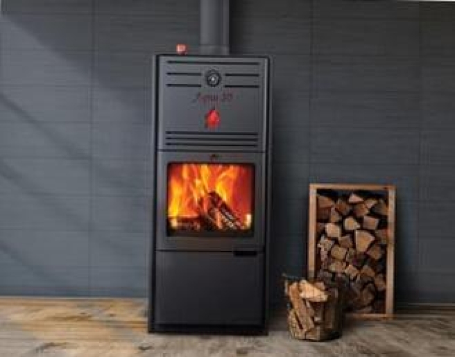 Krizantém: ha ezekre figyelsz, tele lesz virággal